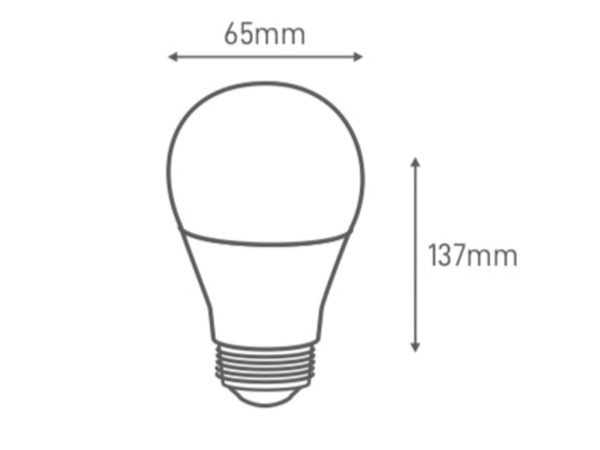 AMPOULE A65 15W